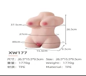 Compact Torso Wellness Model