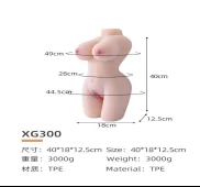 Medium Torso Wellness Model