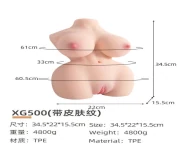 Large Torso Wellness Model