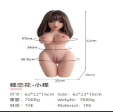 Premium Torso Wellness Model